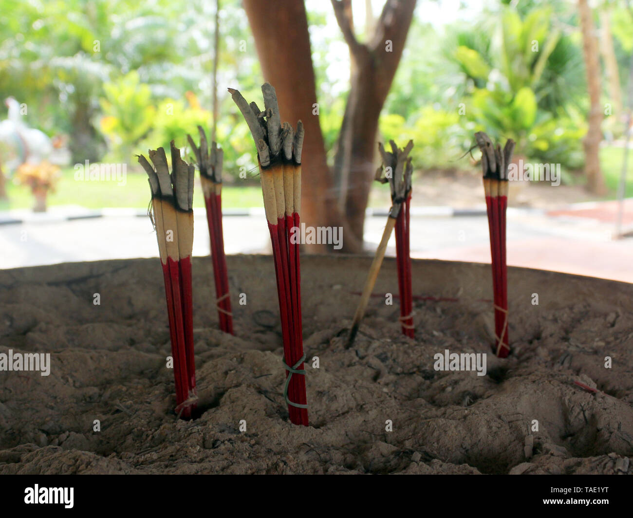 Aromatic incense burning used in temples to pray to Buddha and show