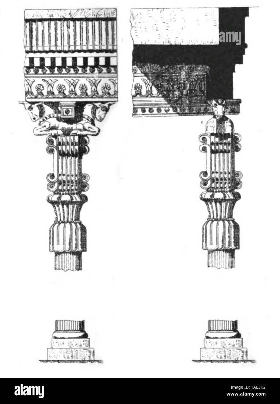 Persian capital with lotus capital and multiples volutes, Persepolis