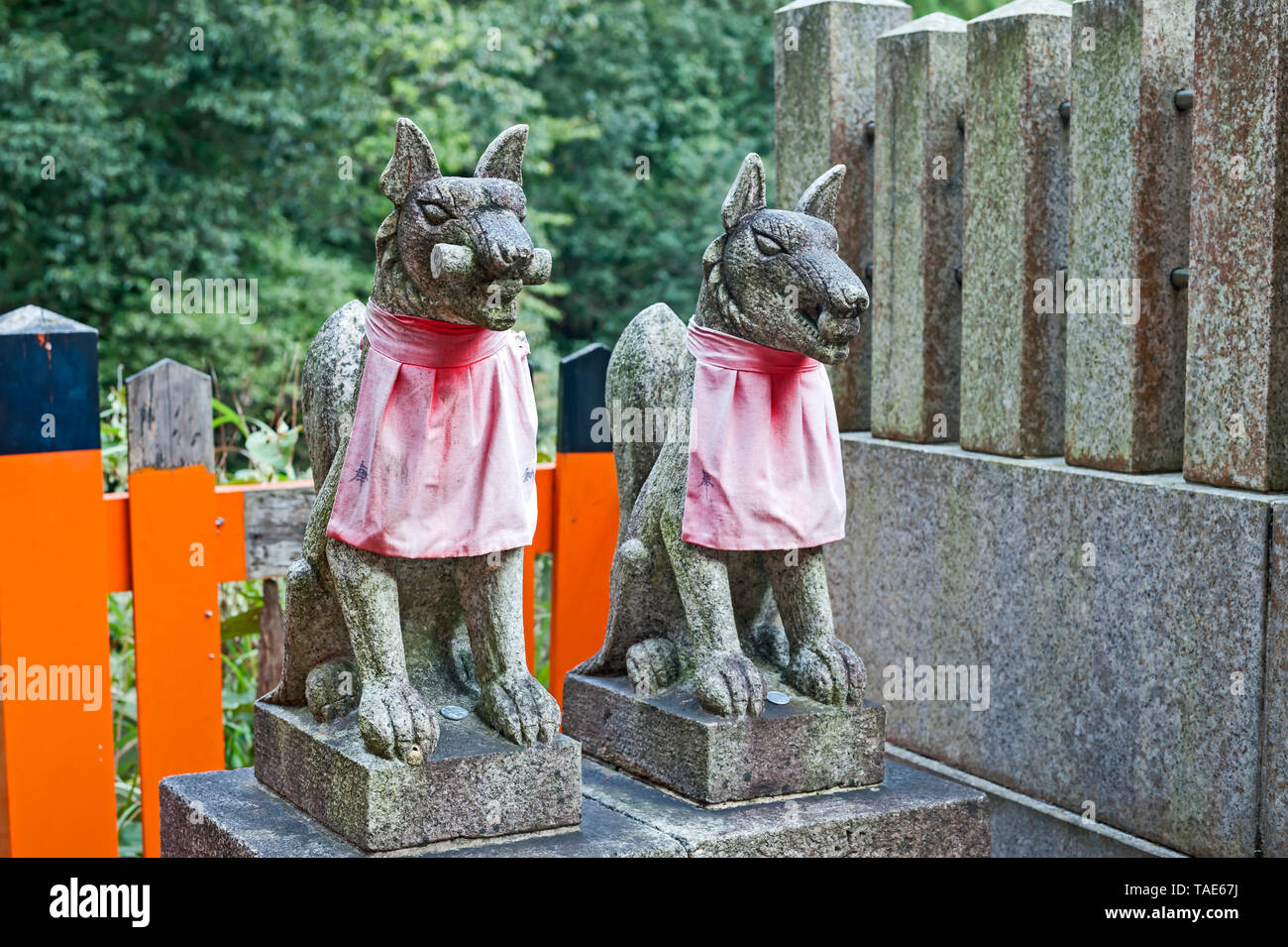 Two kitsune or messenger fox statues, wearing red bibs,  at the Shinto Fushimi Inari shrine in Southern Kyoto, Japan. Stock Photo