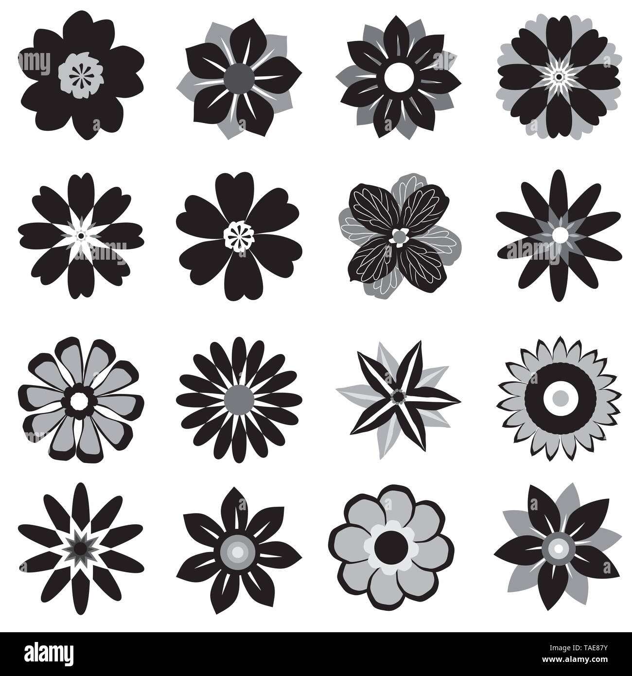 A collection of flowers graphical in black and white Stock Vector Image ...