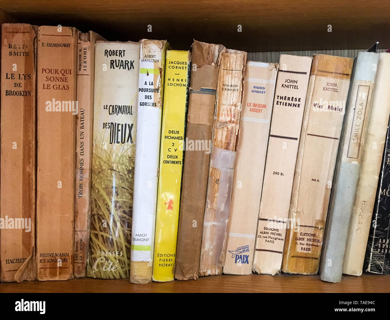 Old books spines, private bookcase, Lyon, France Stock Photo Alamy