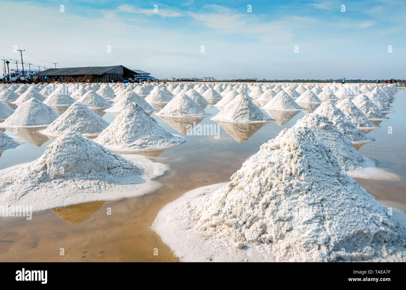 Sea salt farm and barn in Thailand. Organic sea salt. Raw material of