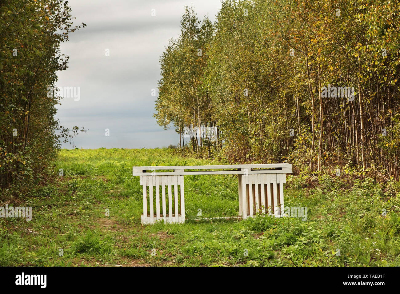 Art object Table at Forest in Nikola-Lenivets village. Kaluga oblast. Russia Stock Photo