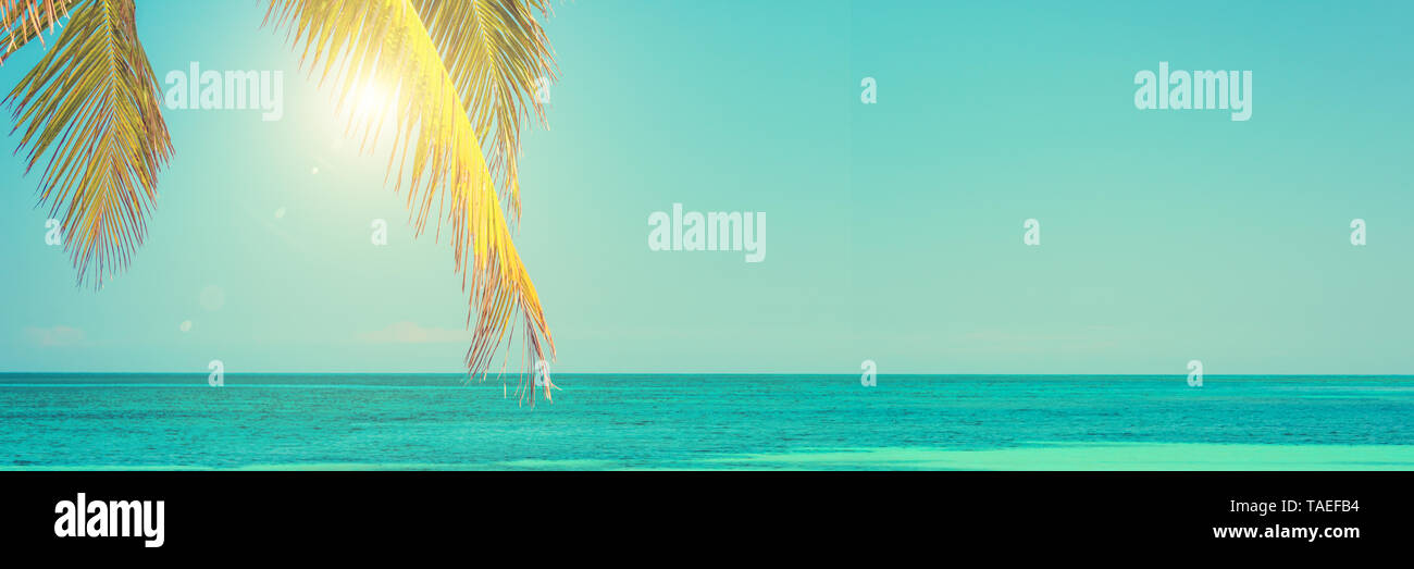 Palm tree blue sea hi-res stock photography and images - Alamy