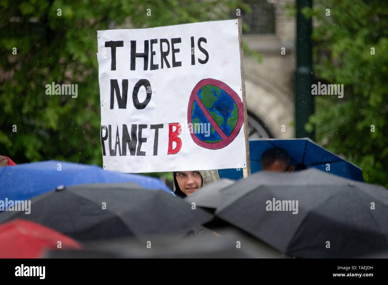 OSLO - MAY 24, 2019: A student carries a sign reading 'There Is No Planet B' as thousands march in the School Strike for the Climate in Oslo, Norway, May 24, 2019. Stock Photo