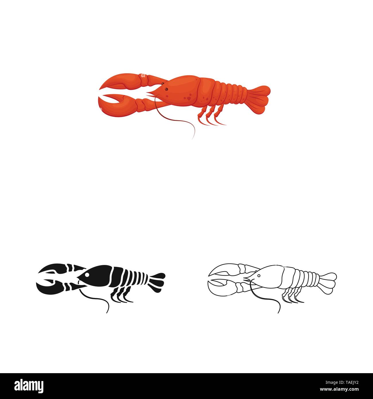 Vector design of crayfish and lobster icon. Set of crayfish and boiled ...
