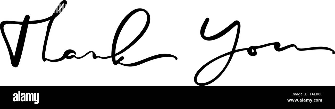 Calligraphy lettering Vector text Thank you. Isolated on white ...