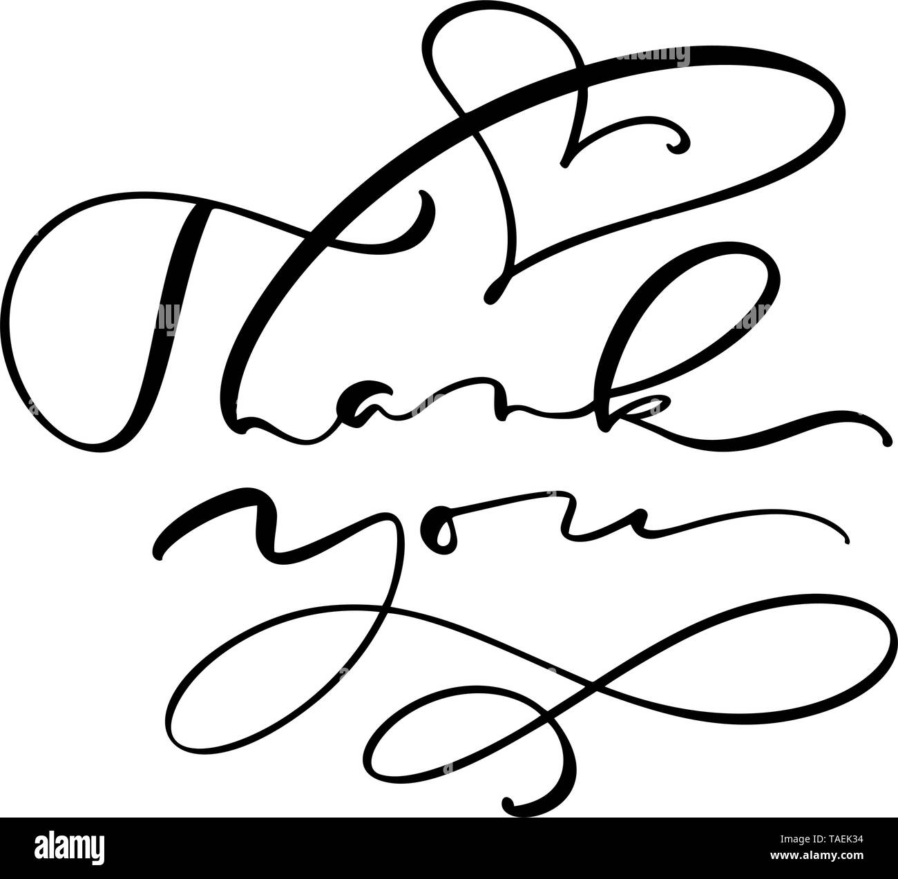 Calligraphy lettering Vector text Thank you. Isolated on white ...