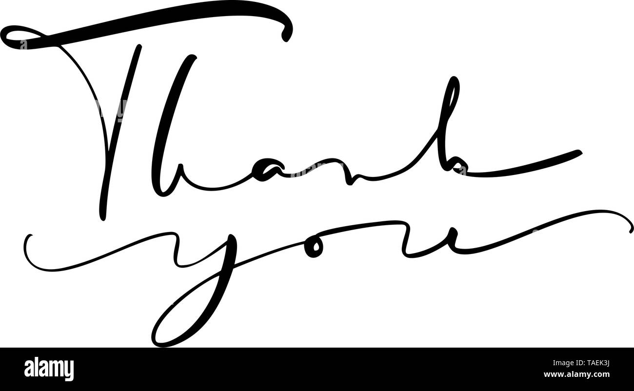 Calligraphy lettering Vector text Thank you. Isolated on white ...