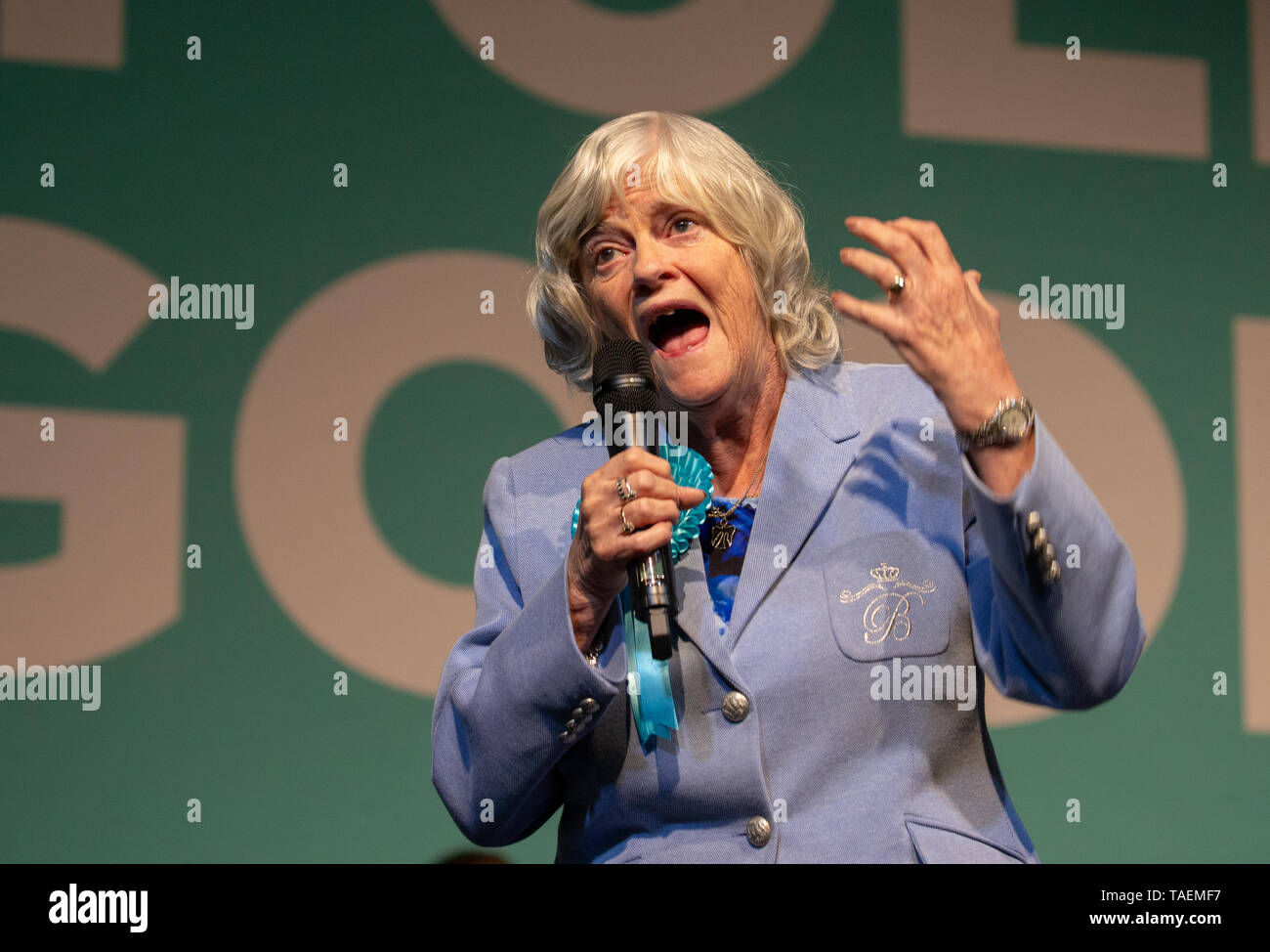 Ann Widdecombe, now an MEP,  speaks at a rally of 3,000 people in Kensington Olympia ahead of the European Elections on May 23rd. Stock Photo