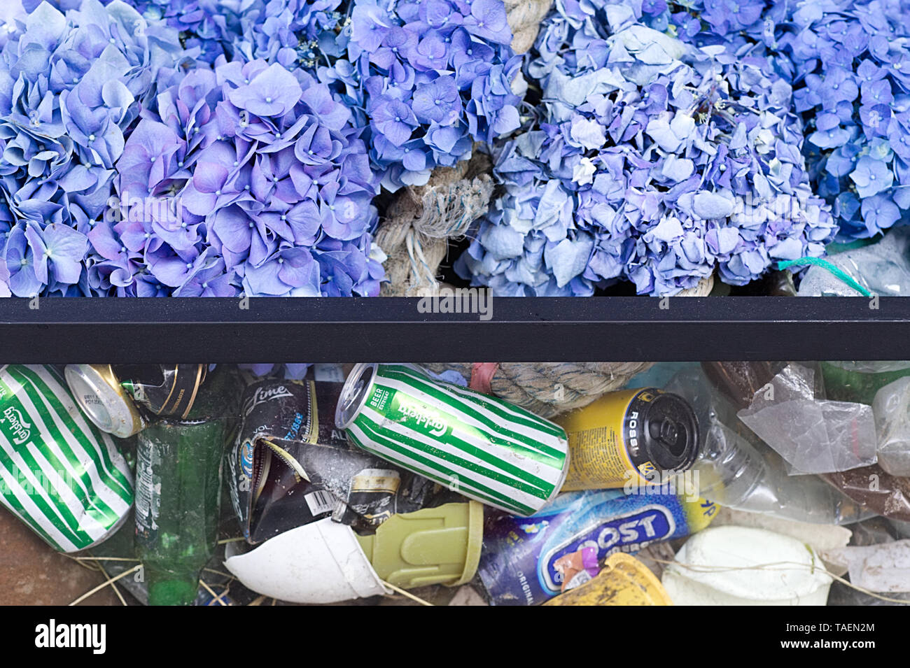 Chelsea in Bloom 2019, Beauty and the destruction Stock Photo