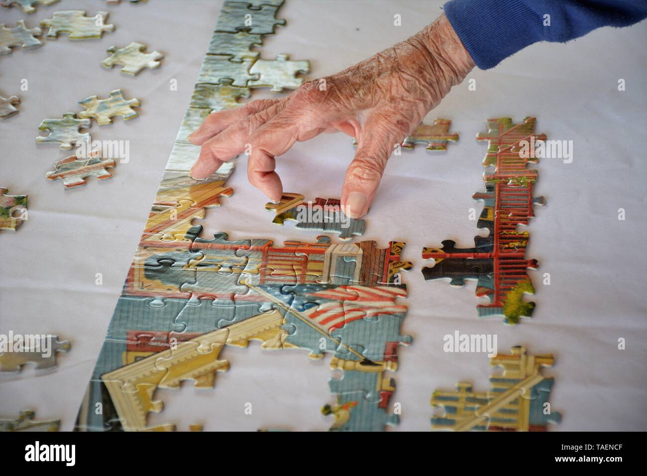 Senior hands working at a real family reunion in California USA America with 4 generations together Stock Photo