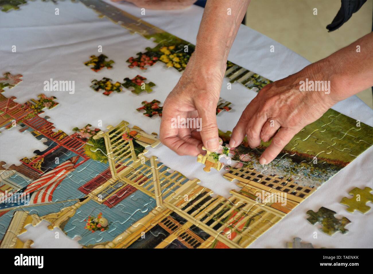 Older woman's hands working on puzzle for fun at family gathering in California USA America, real people, one missing fingers via accidental hobby Stock Photo