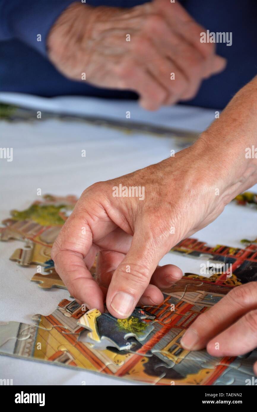 Older woman's hands working on puzzle for fun at family gathering in California USA America, real people, one missing fingers via accidental hobby Stock Photo