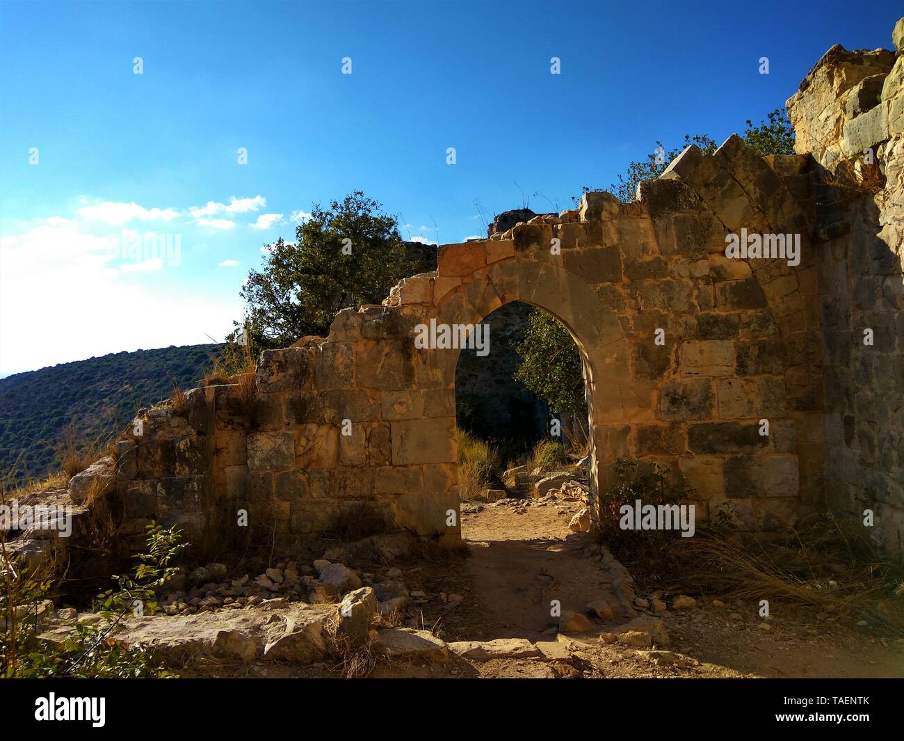 Montfort Castle in northern Israel Stock Photo - Alamy