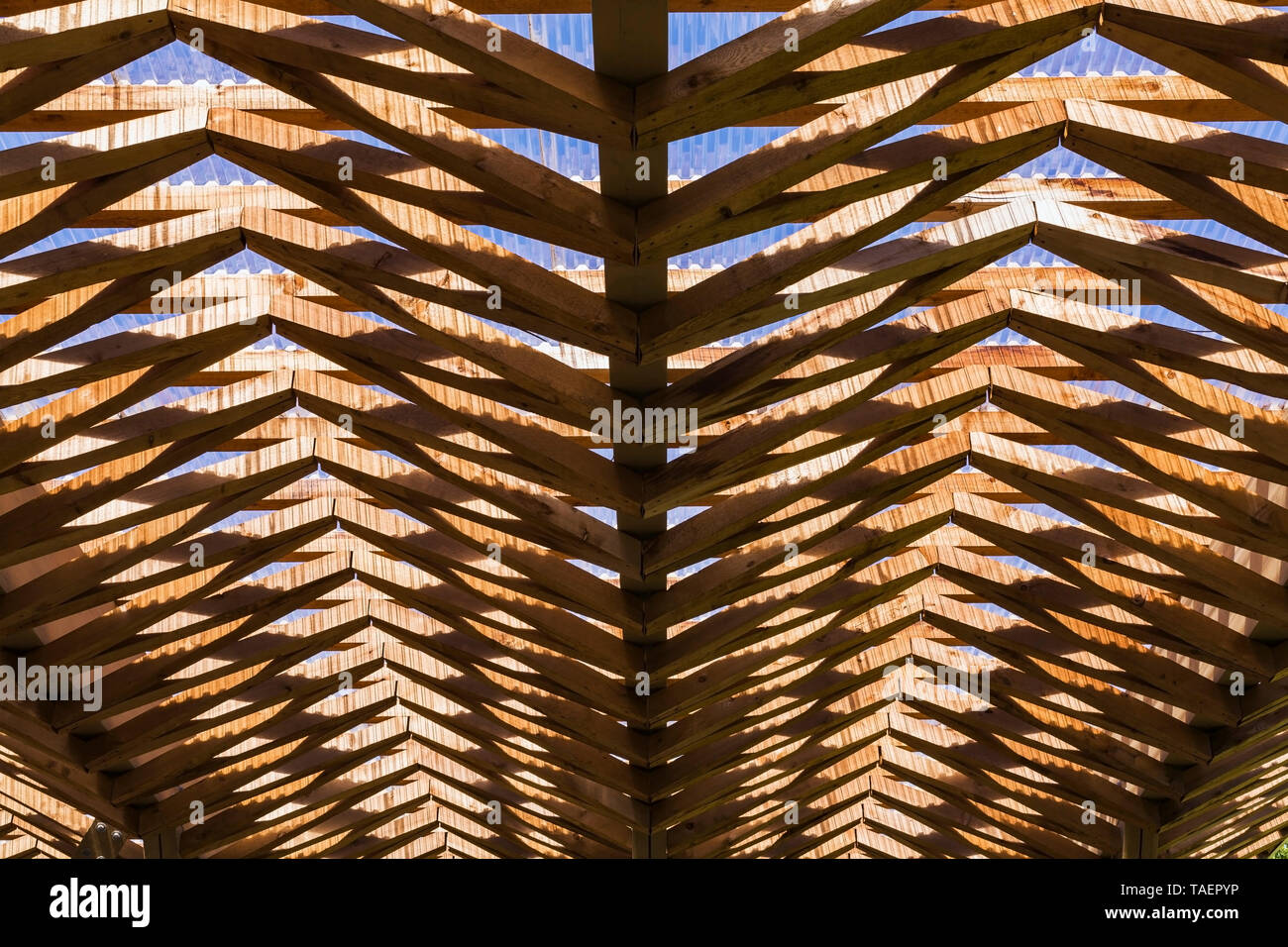 Underside view of transparent corrugated fibreglass roof sheeting and wooden joist framework, Montreal, Quebec, Canada Stock Photo