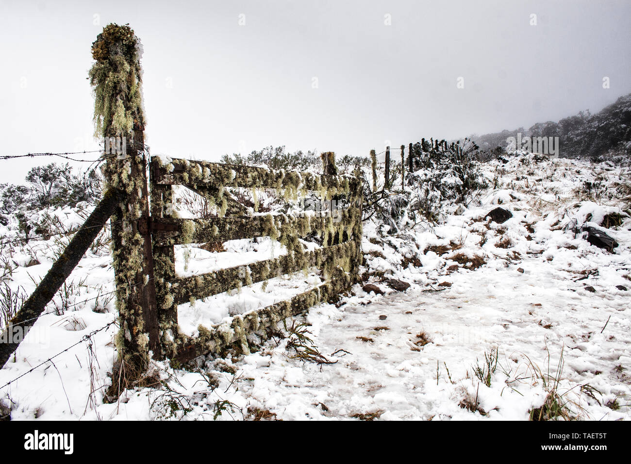 Fence in a snowed landscape.  Urubici, Santa Catarina, Brazil. Stock Photo
