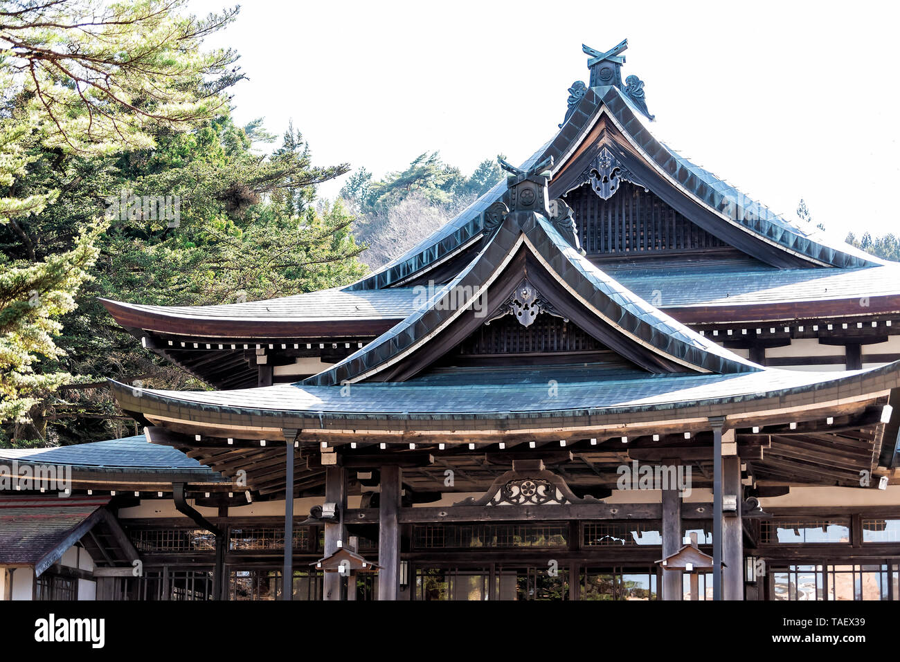 Тэнрикё. Тэнрике. Тэнрике. Тенрикё. Университет тенри япония.