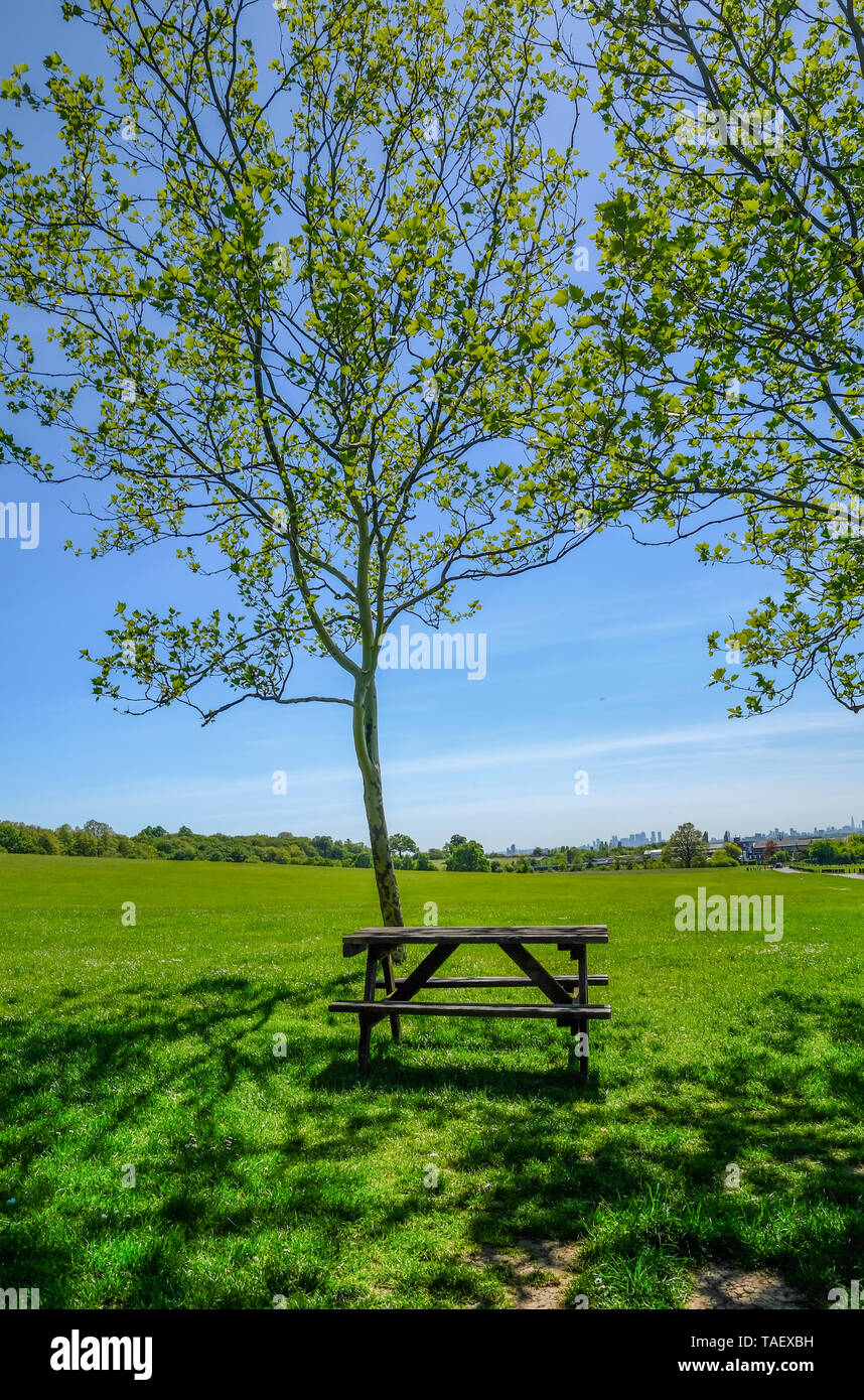 Single empty wooden picnic table set beside a tree on grass looking towards the view of London. Table sits in the shade and taken on a bright blue sky Stock Photo