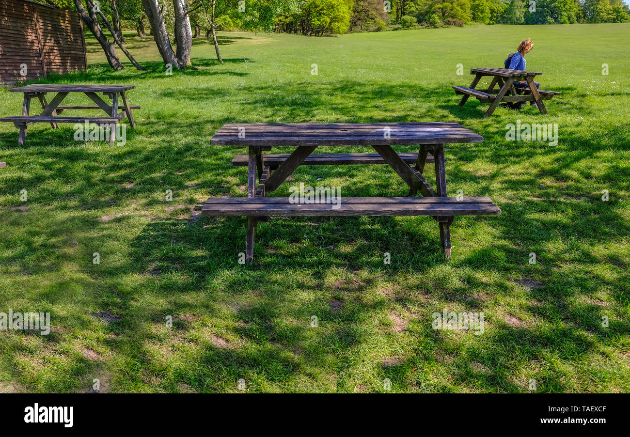Wooden picnic tables on grass parkland in the shade.  Lady sitting at one of the tables. Stock Photo