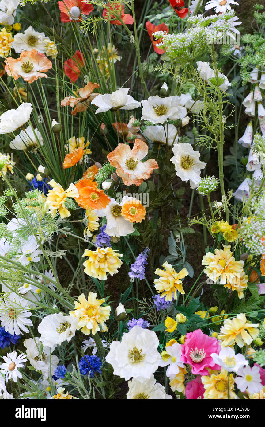 Chelsea in Bloom 2019, The Ivy, Chelsea Garden, wildflowers Stock Photo