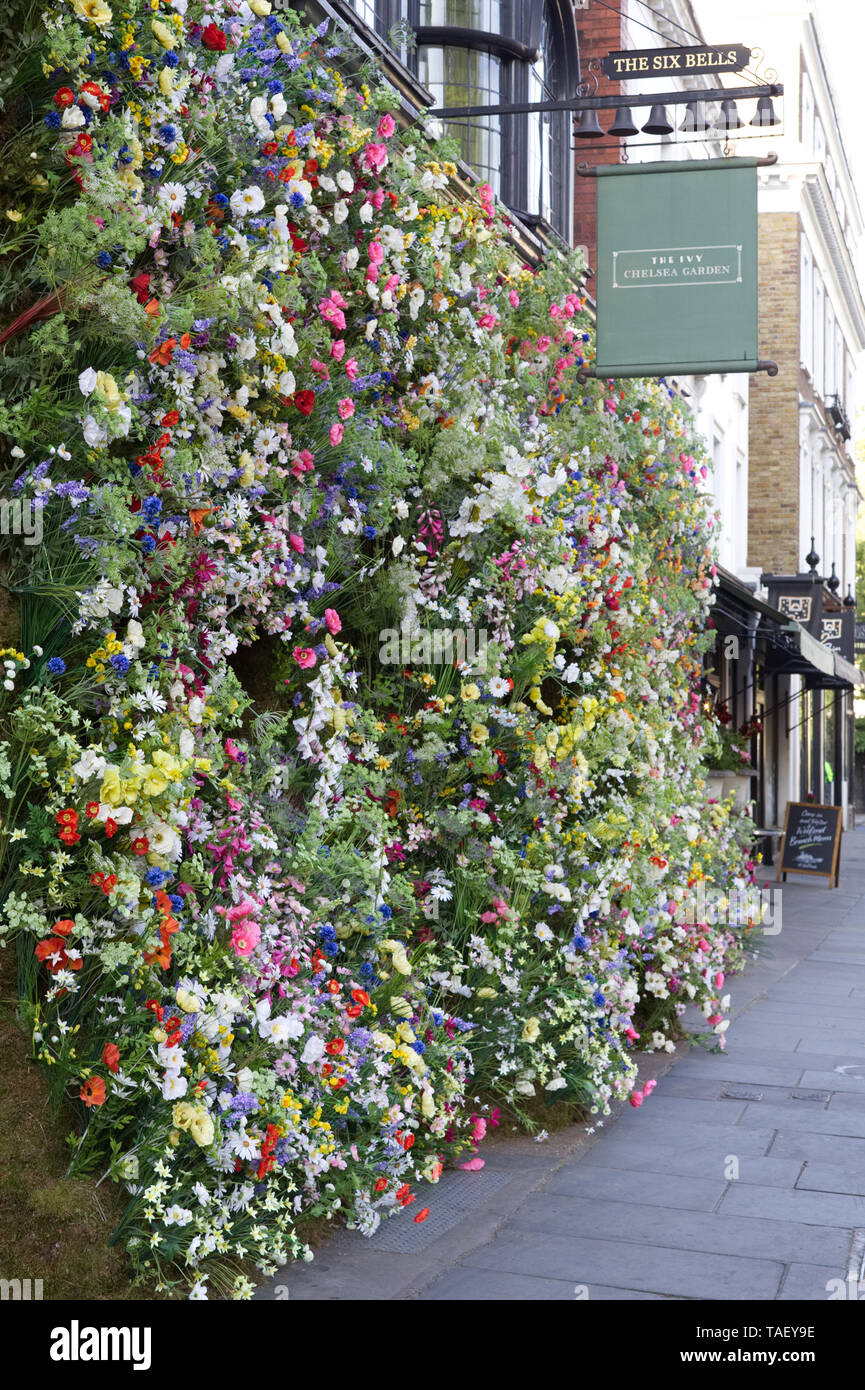 Chelsea in Bloom 2019, The Ivy, Chelsea Garden, wildflowers Stock Photo
