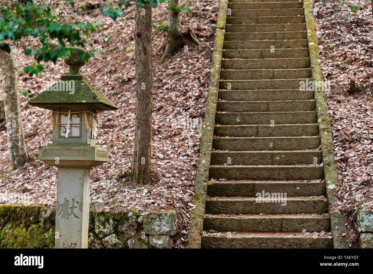 Garden Stone Steps High Resolution Stock Photography and Images Alamy