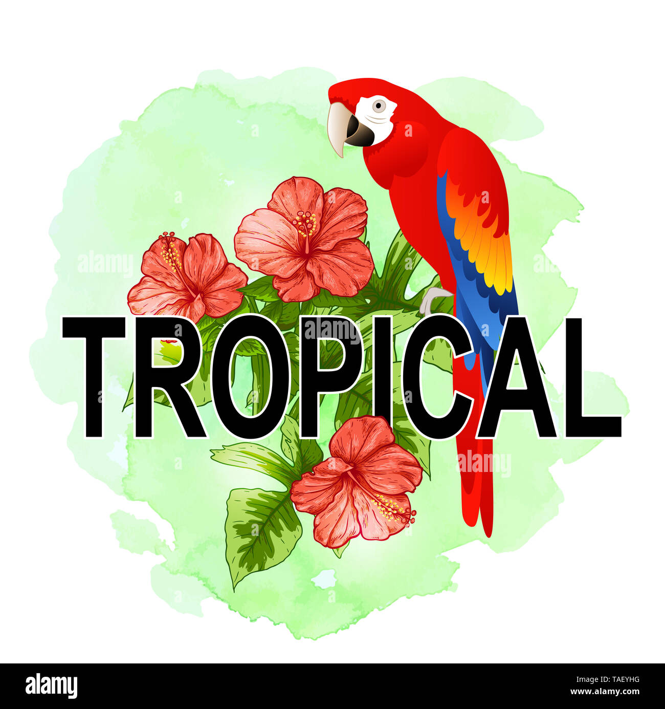 Summer background with tropical flowers, green palm leaves and red ...