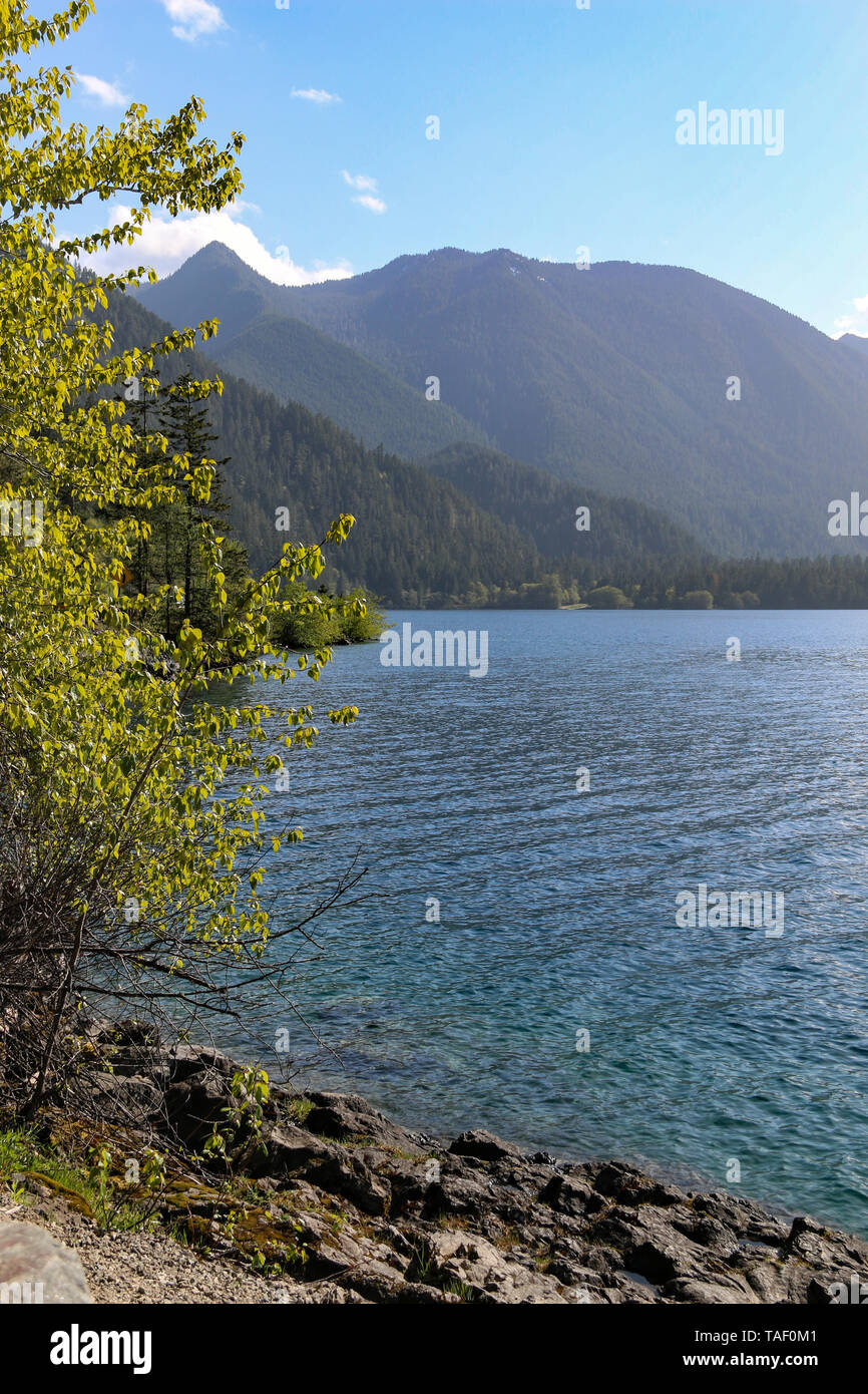 Lake Crescent, Olympic National Park, Washington Stock Photo