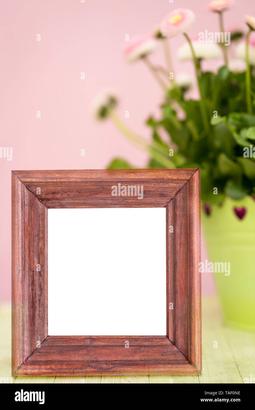 A brown wooden frame with a white content serves as a mock up for your own design ideas. In the background are Bellis perennis spring flowers in green Stock Photo