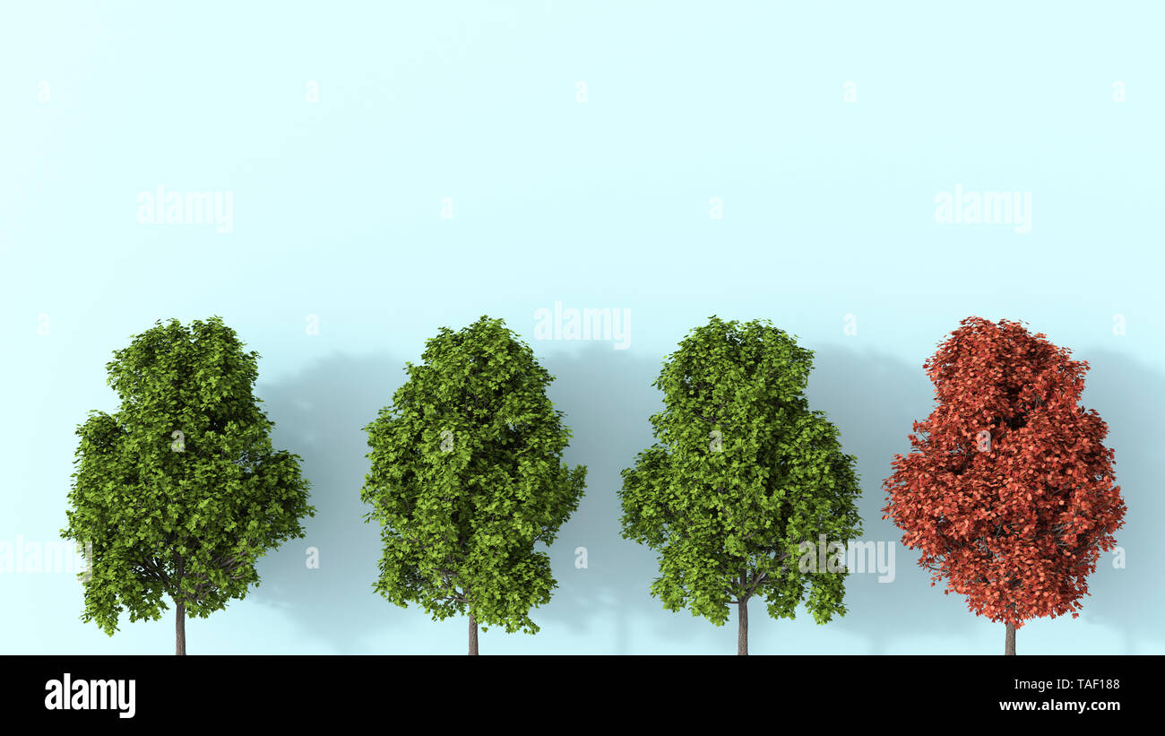 3D rendering, Row of green summer trees with one autunal tree Stock Photo