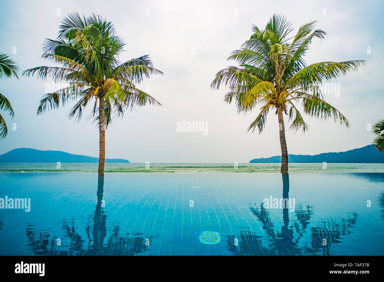 Smooth water of pool reflects high picturesque palm trees in a beach of Andaman sea. Swimming pool on the background of the sea on the island. luxury  Stock Photo
