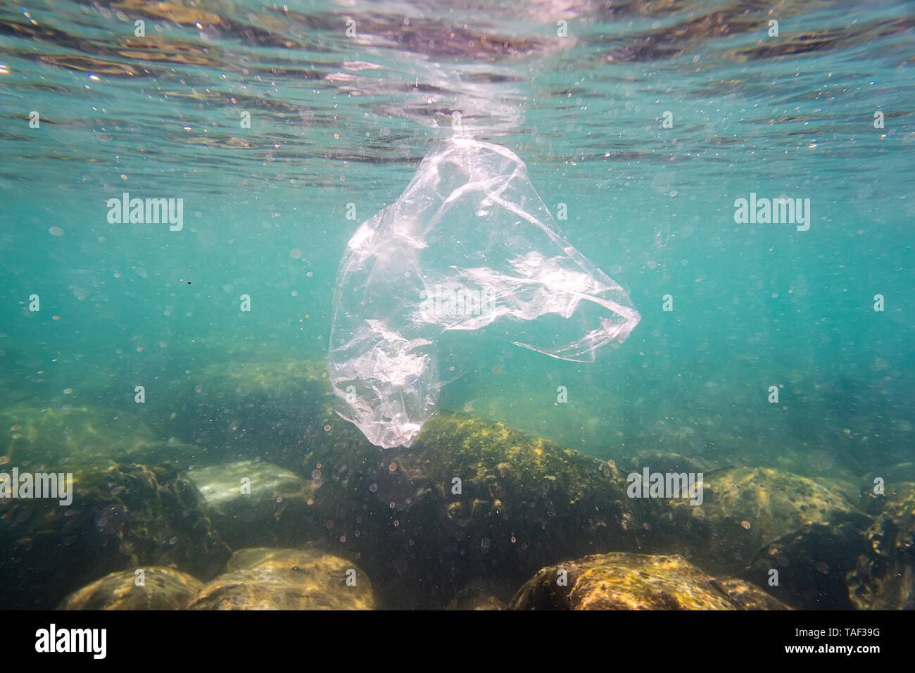 Plastic pollution: discarded plastic rubbish bag floats on tropical coral reef presenting a hazard to marine life Stock Photo