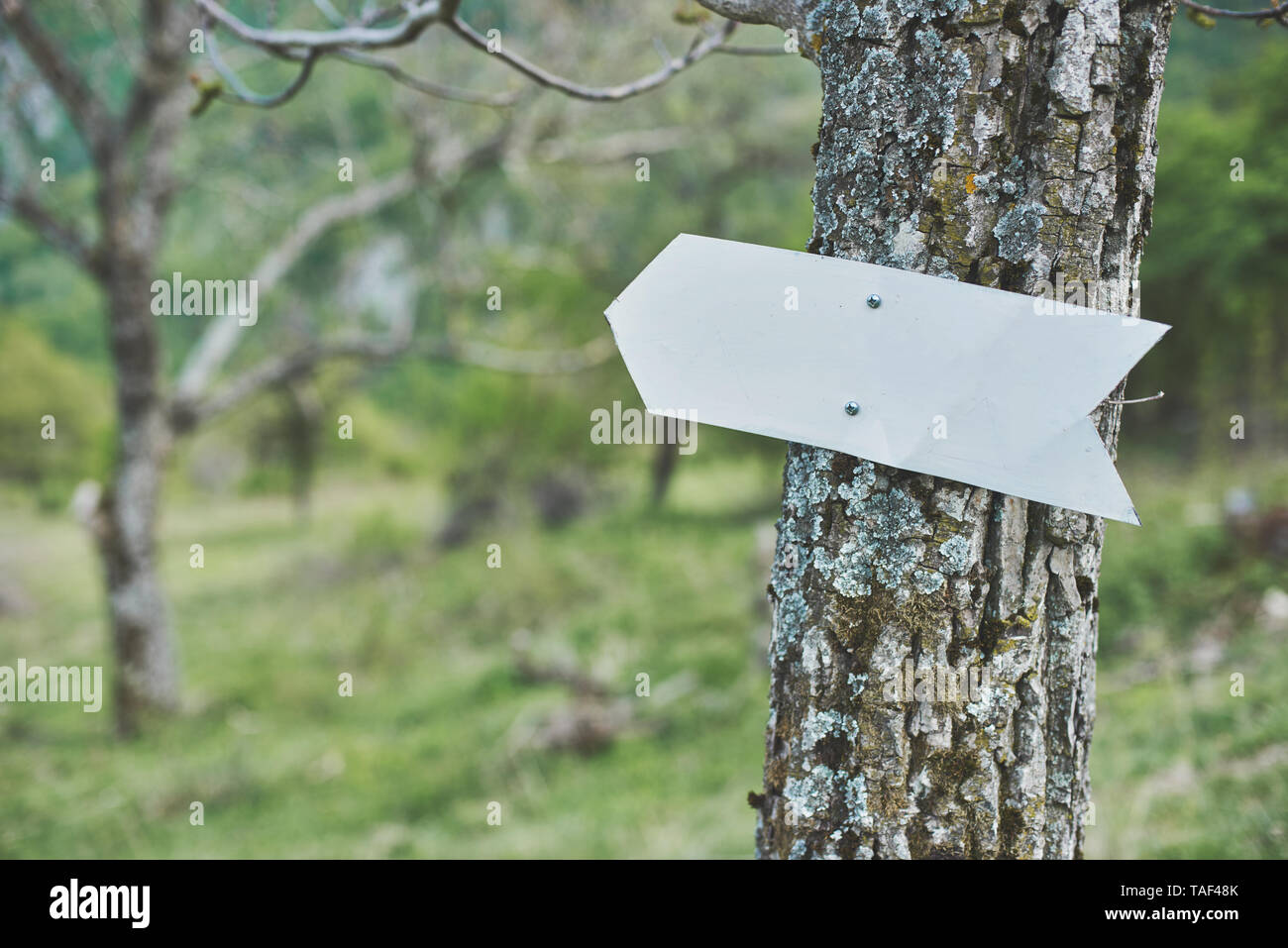 Direction arrow in the forest - adds your text here Stock Photo - Alamy