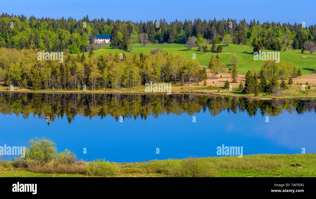 Lake Bellefontaine in spring, in the Jura, at the foot of the Massif du