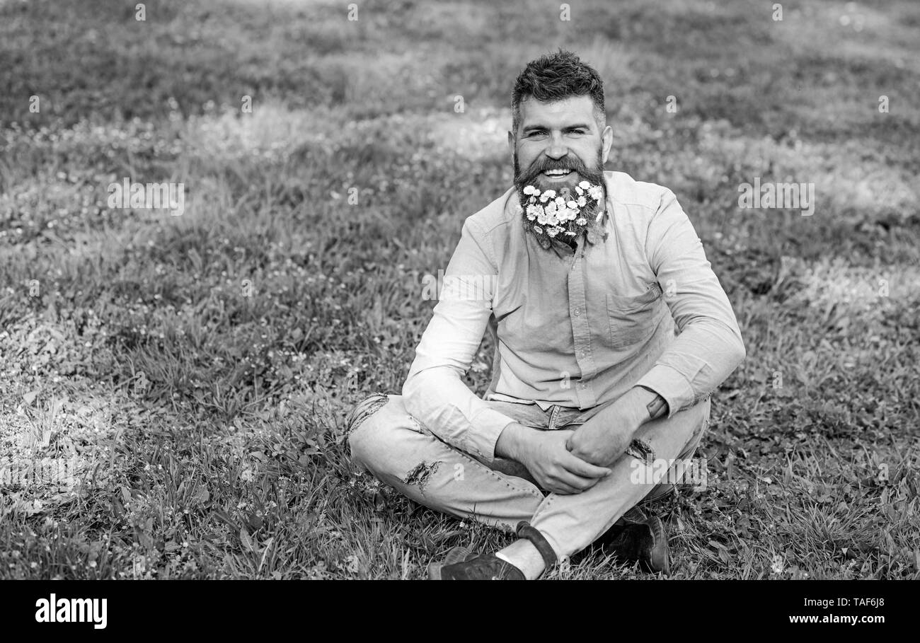 Man with beard on smiling face enjoy life without allergy. Spring allergy  concept. Hipster with daisies looks happy. Bearded man with daisy flowers  sits on grassplot, grass background, copy space Stock Photo -, image size:1300x909