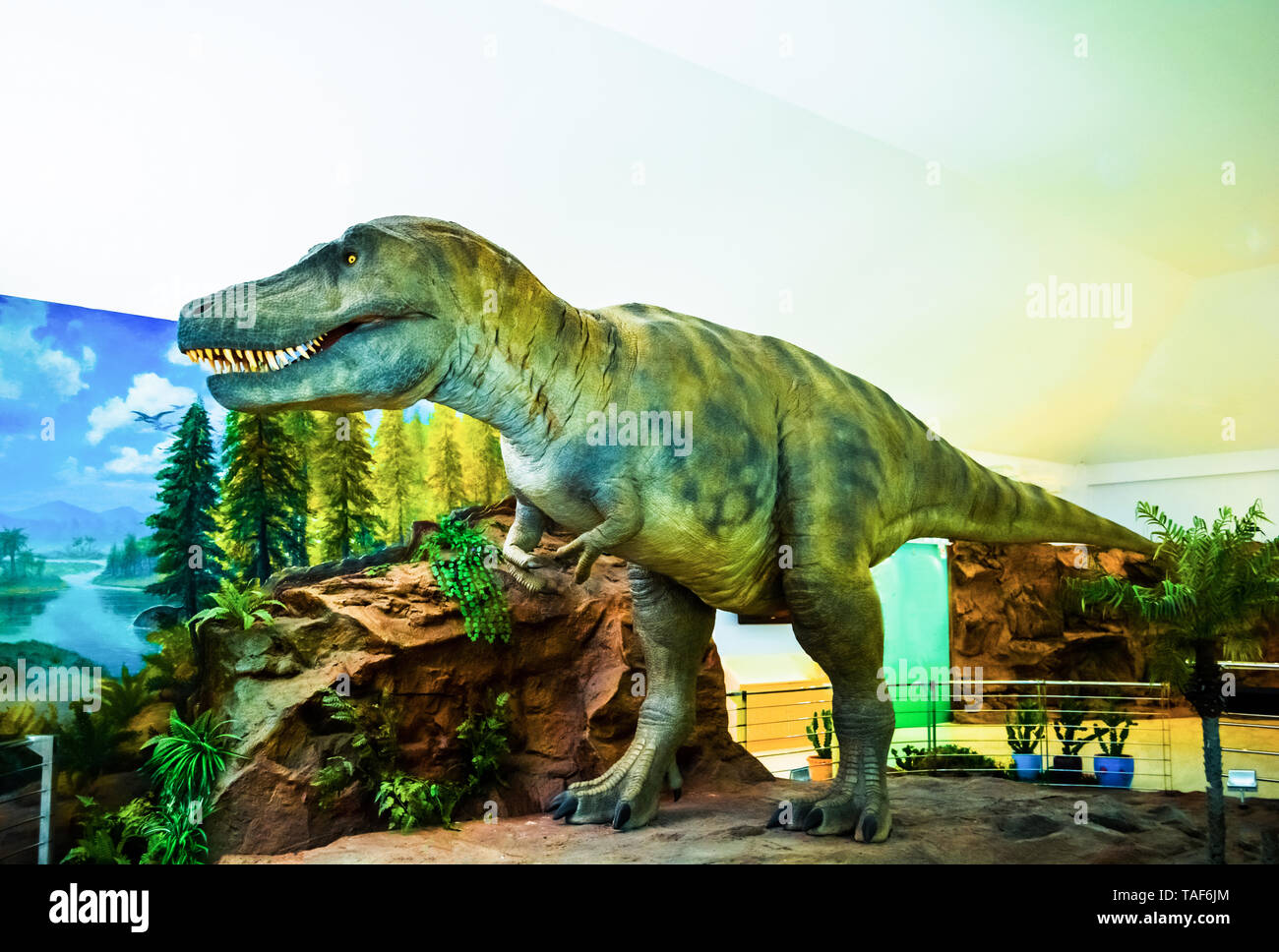 Tyrannosaurus rex / Dinosaur Statue in the garden park Raptor