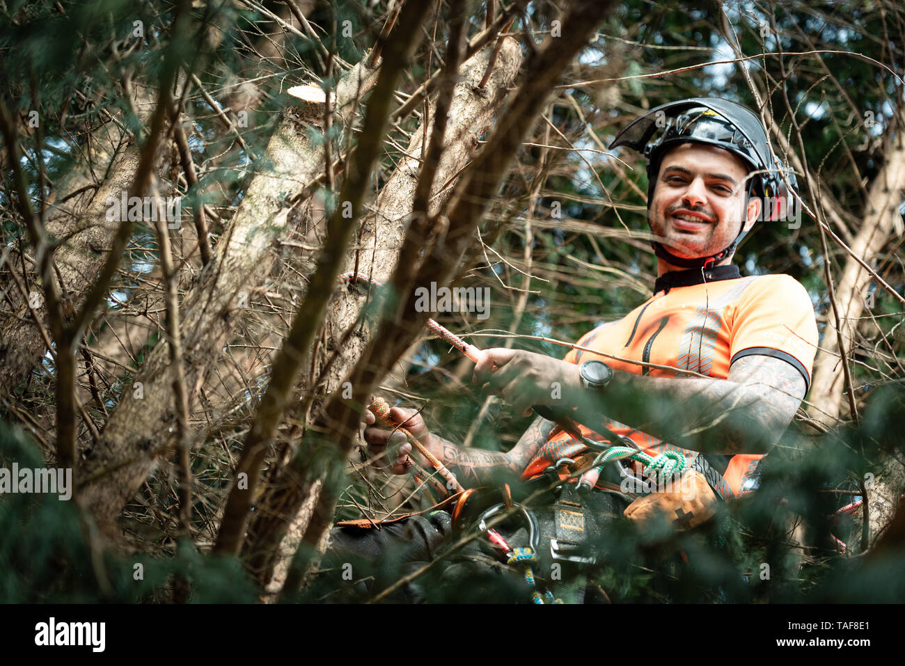 Forestry helmet hi-res stock photography and images - Page 14 - Alamy