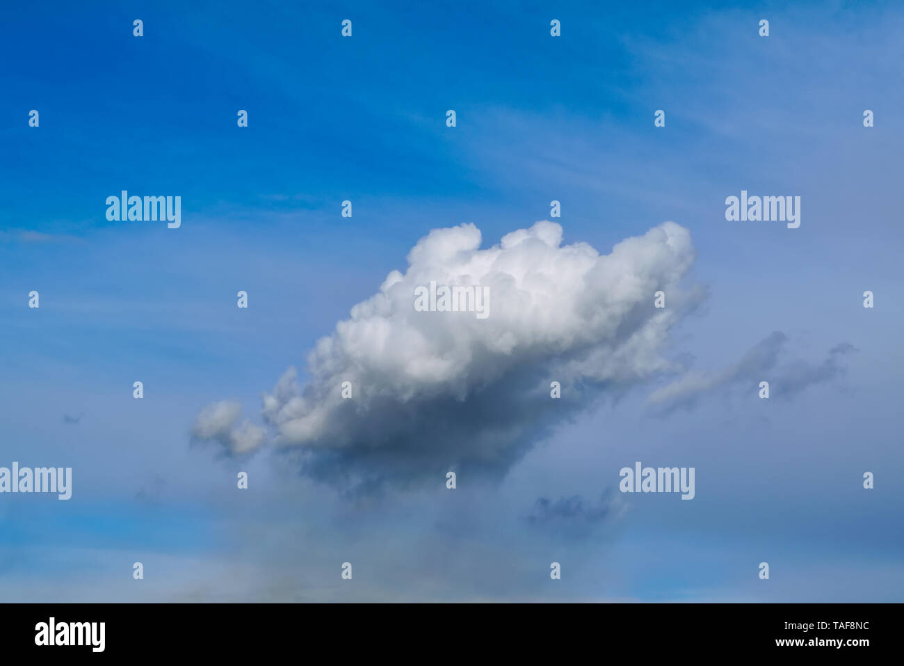 Blue summer sky white cumulus clouds background Stock Photo - Alamy