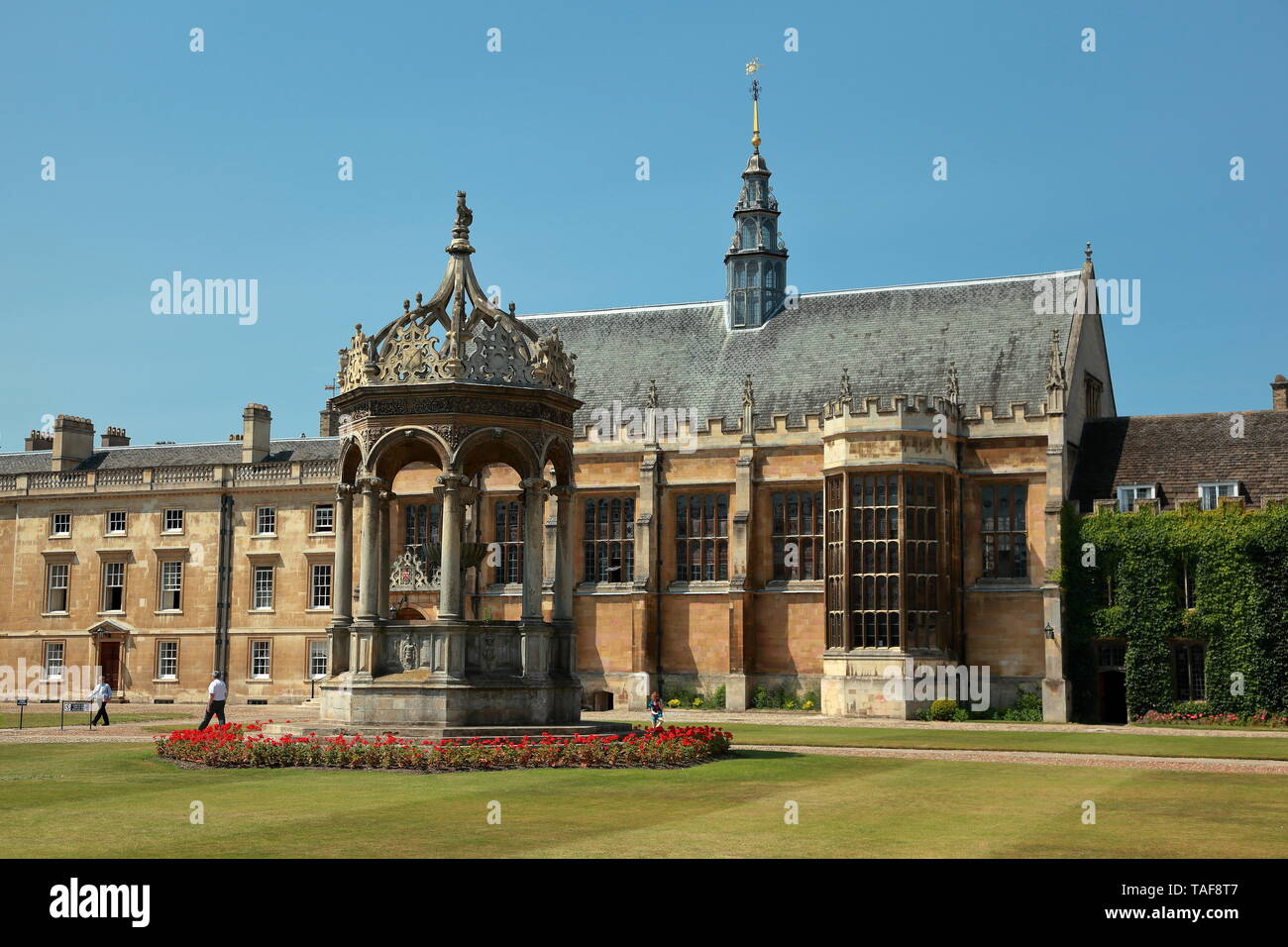 TRINITY COLLEGE CAMBRIDGE MEDICINE ENTRY REQUIREMENTS visual data 7