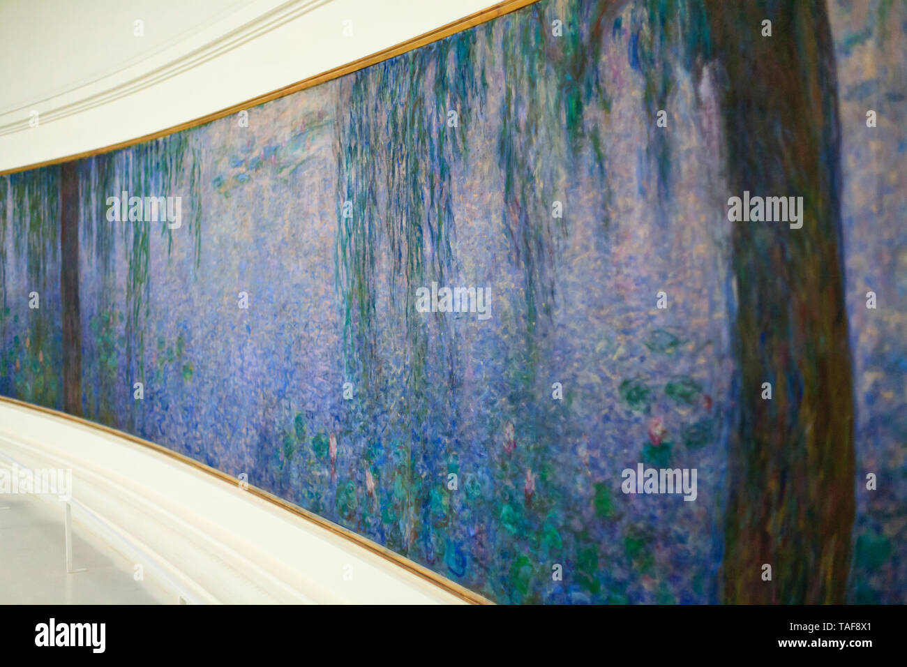 Claude Monet Water Lilies murals at The Musée de l'Orangerie ,an Art Gallery located in The west corner of the Tuileries,Paris Stock Photo