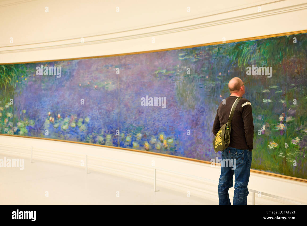 Man admiring the Claude Monet Water Lilies murals at The Musée de l'Orangerie ,an Art Gallery located in The west corner of the Tuileries,Paris Stock Photo