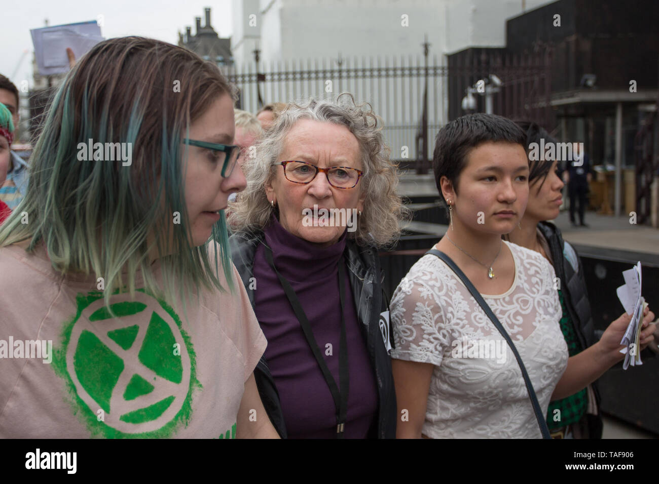 Campaigners from climate protest group Extinction Rebellion write letters to their Members of Parliament on Parliament Square. Various MPs and Jenny Jones, Baroness Jones of Moulsecoomb, assisted in delivering the letters as the group were barred access to Parliament by a police cordon.  Featuring: Jenny Jones, Baroness Jones of Moulsecoomb Where: London, United Kingdom When: 23 Apr 2019 Credit: Wheatley/WENN Stock Photo