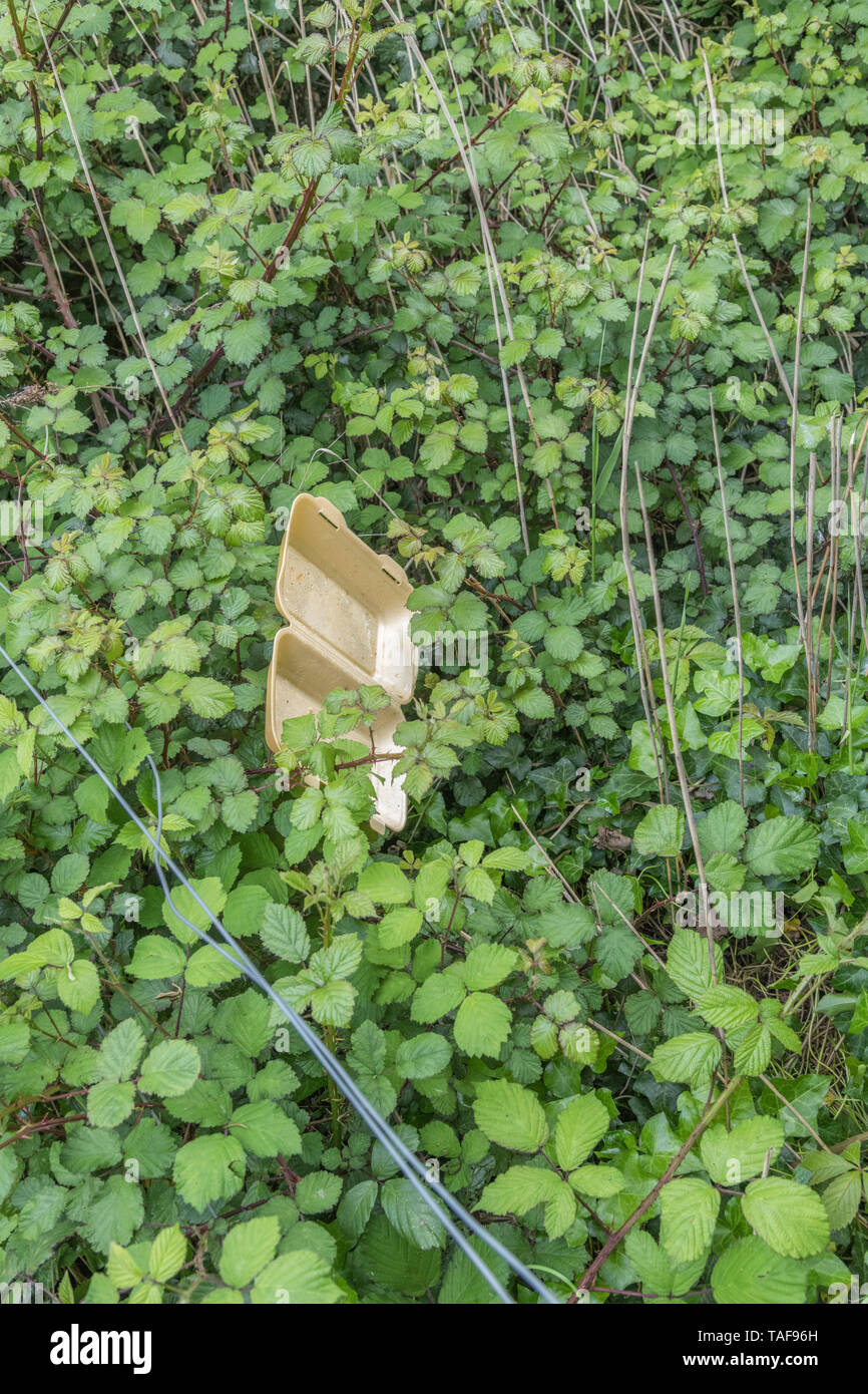 Polystyrene takeaway food box discarded in rural hedgerow water ditch. Metaphor plastic pollution, environmental pollution, UK single-use plastic ban. Stock Photo