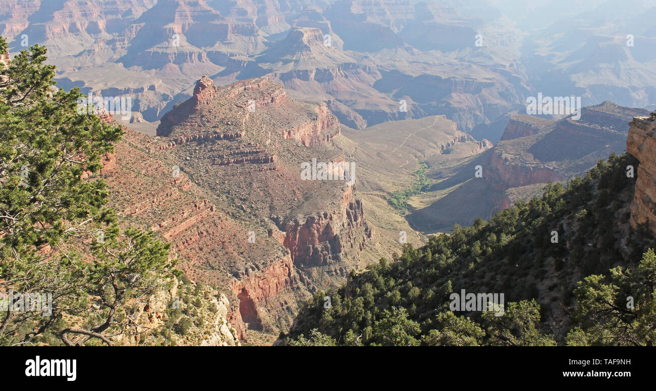 Grand Canyon North Rim Overlook Stock Photo