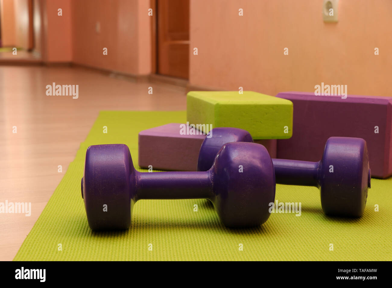 Fitness tools - green and purple cubes and dumbbells on a green mat, sports concept,horizontal photo Stock Photo