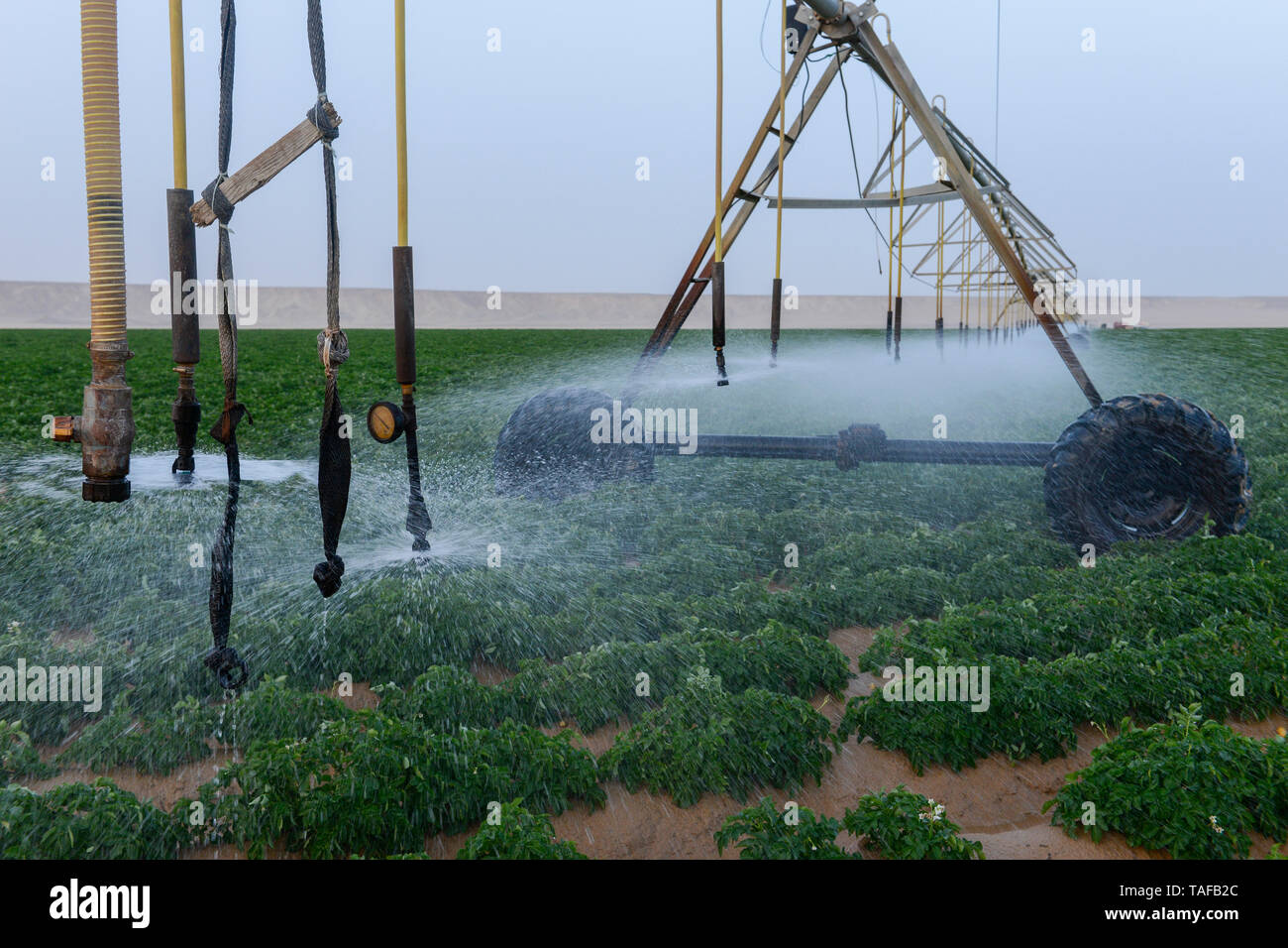 Egyptian irrigation hires stock photography and images Alamy