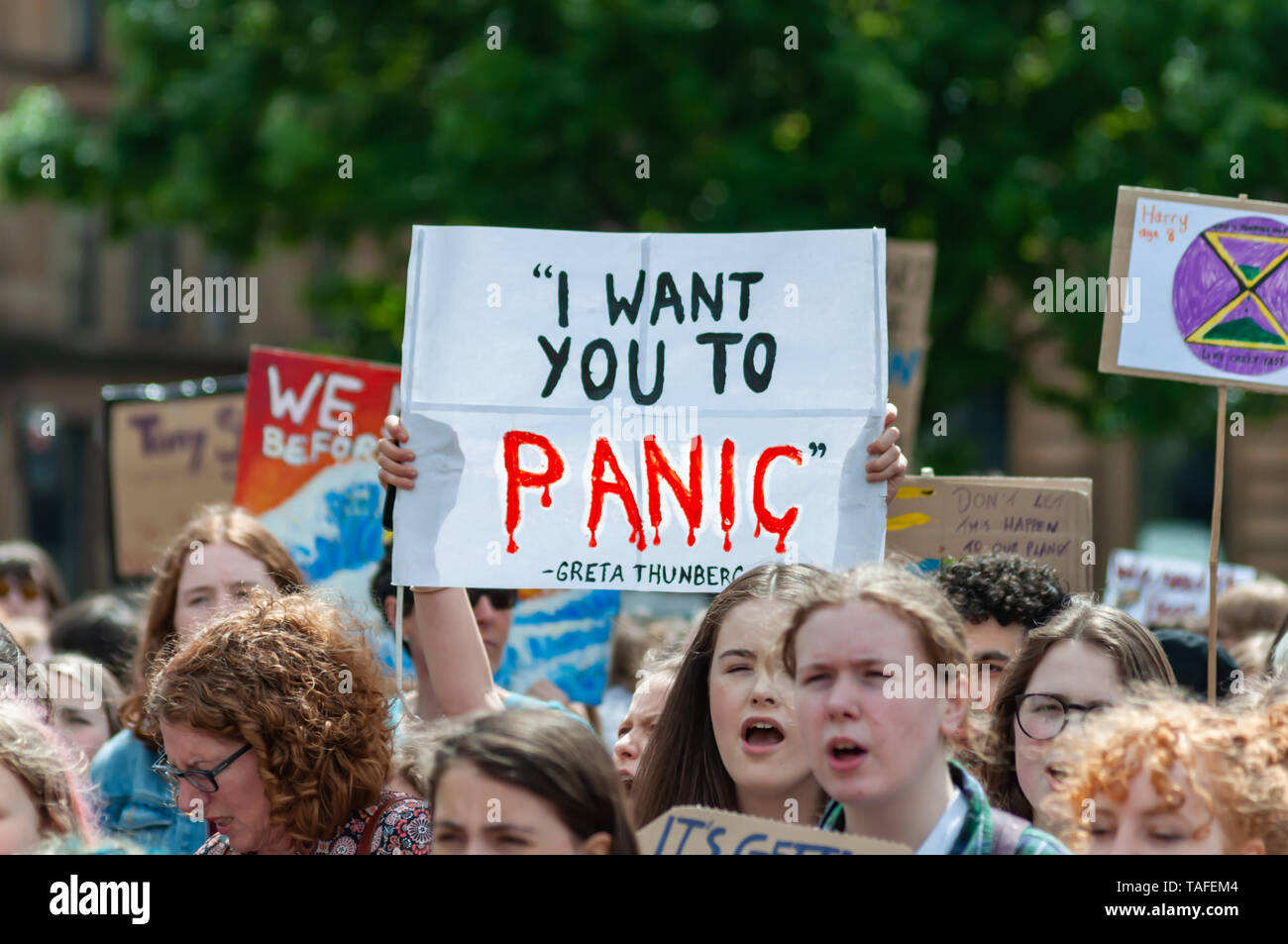Glasgow, Scotland, UK. 24th May, 2019. A placard saying I Want You To Panic is carried during the Youth Strike 4 Climate student demonstration. Students across the UK are protesting against climate change and the lack of action by the Government.  Credit: Skully/Alamy Live News Stock Photo
