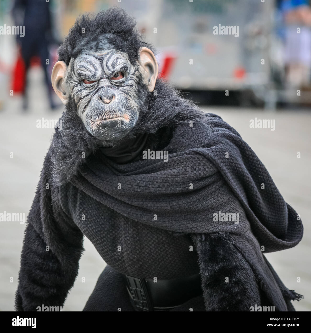 ExCel London, UK - 24th May 2019. Planet of the Apes meets meets Kylo Wren from Star Wars. Thousands of cosplayers, gamers and lovers of film and TV fantasy and sci fi in costumes come together on the opening day of MCM Comicon at ExCel London. Credit: Imageplotter/Alamy Live News Stock Photo