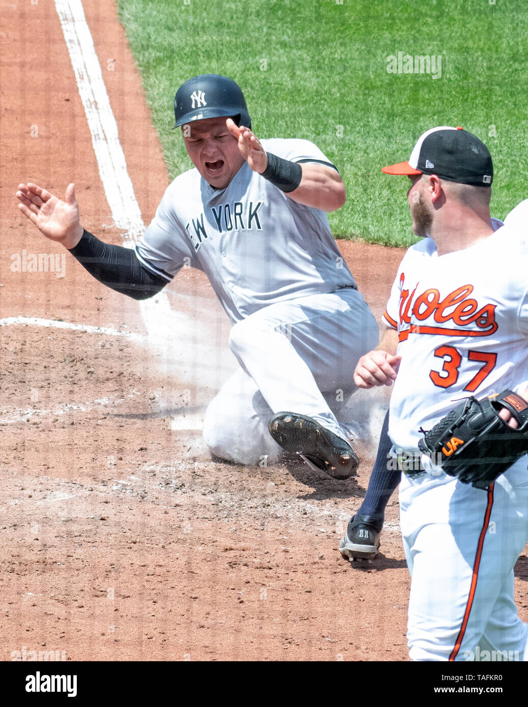 New York Yankees designated hitter Luke Voit (45) celebrates as he scores his team's third run in the sixth inning against the Baltimore Orioles at Oriole Park at Camden Yards in Baltimore, MD on Thursday, May 23, 2019. Looking on is Baltimore Orioles starting pitcher Dylan Bundy (37). Credit: Ron Sachs/CNP (RESTRICTION: NO New York or New Jersey Newspapers or newspapers within a 75 mile radius of New York City) | usage worldwide Stock Photo